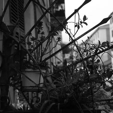 Bella Napoli Trattoria Pizzeria